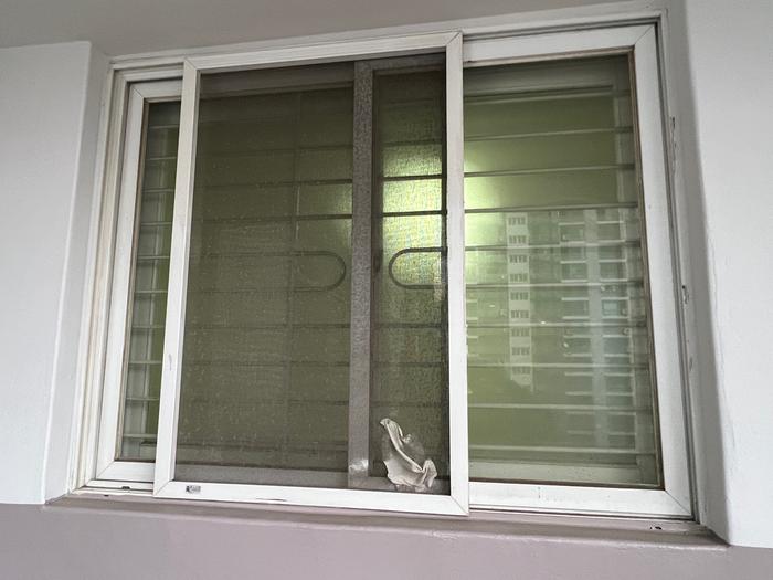 3695294320_5xvhs6on_46a599b3e25822e41c2f93d27ad4a0d6c3547eaf.jpg 이미지크게보기