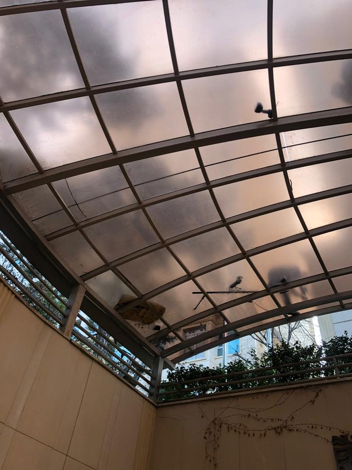 3695294320_w3yl59xb_e5429b85da26f4660b6cfaf4530993dfdc6dd980.jpg 이미지크게보기